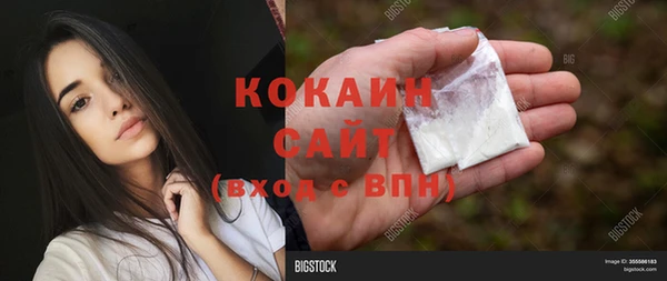 СК Арсеньев