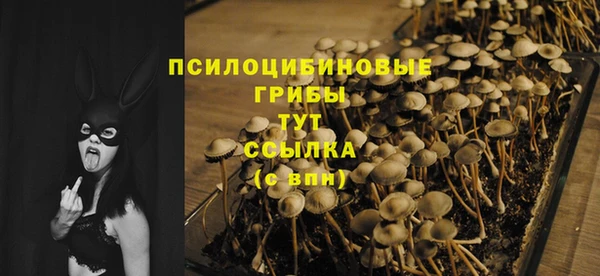 тгк Армянск