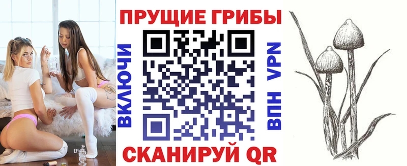 Псилоцибиновые грибы мухоморы  omg зеркало  Покров 
